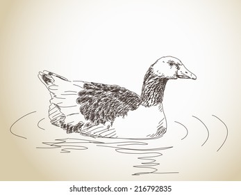 Goose Vector Sketch Hand drawn illustration