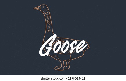 Goose vintage sketch. Goose silhouette with grunge texture. Vintage poster. Typography. Vector illustration.