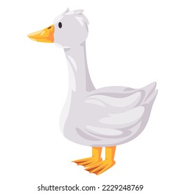Goose white swan standing vector drawing illustration 