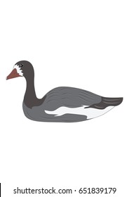 Goose wild isolated on white background art creative modern vector illustration Hunting logo