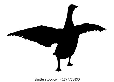 Goose with wings spread silhouette set isolated on white background, vector stock illustration. Poultry bird