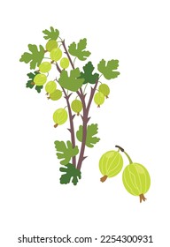 Gooseberries bush flat icon Garden. Vector illustration