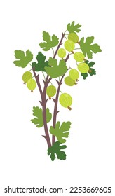 Gooseberries on bushes flat icon Tasty organic fruit. Vector illustration