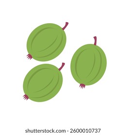 Gooseberries on an isolated background. 
Vector illustration in a flat style

