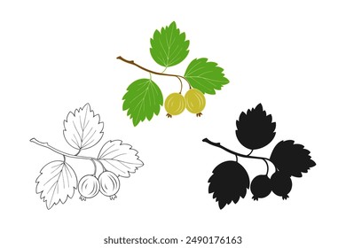 Gooseberries set drawing, branch with leaves and berries, contour silhouette and color drawing, logo, icon, isolated on white background. Vector illustration