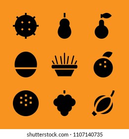 gooseberries, sweet, coconut isolated and coco icon set. Vector illustration for web and design.
