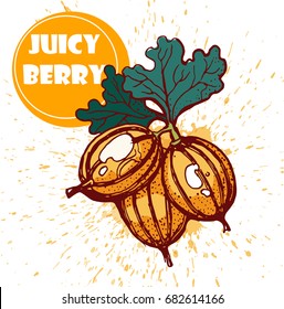 gooseberries,vector illustration on white background , juicy berry