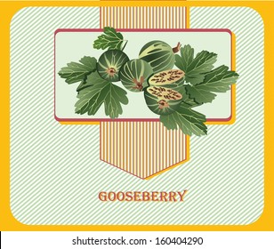 gooseberry