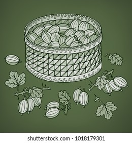 Gooseberry in basket. Cartoon vector hand drawn abstract illustration