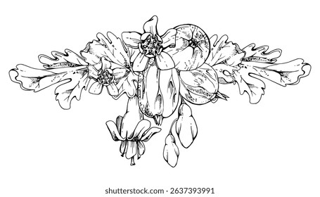 Gooseberry bell flower buds leaves, ripe garden berries garland. Currant casseille huckleberry jostaberry hand drawn in vector ink. Isolated boutonniere illustration. Wedding stationery, florist shop