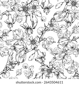 Groselhas de groselha espinhosa deixa botões de flores em galho espinhoso, groselha de casinha de juneberry de jardim maduro. Recorte o padrão sem costura desenhado à mão em tinta vetorial. Casa preserva livro de receitas, embalagem, papel de embrulho