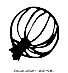  Gooseberry berry vector drawing in doodle style. Isolated element on white background for design of packaging, menu, print, posters, icons, stickers, cards.