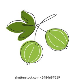 Gooseberry branch Continuous Line drawn. Abstract Doodle food illustration. Healthy vitamin vegan food. Ingredient for smoothie, jam. Bunch of ripe summer green berry isolated on white