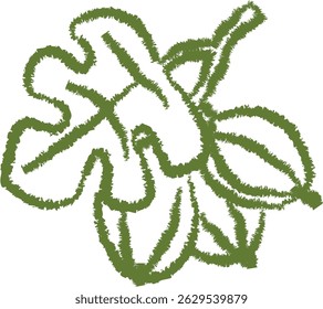 A gooseberry branch is depicted using a crayon-like texture and sketchy lines.  The image shows a cluster of berries and leaves in a hand-drawn style, suggesting organic growth.