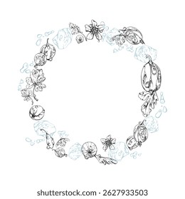 Gooseberry Currant berries flying in water splash with green leaves, flowers, dew drops ice cubes, wreath hand drawn in vector ink. Ripe garden casseille. Isolated circle frame. Fresh grocery store