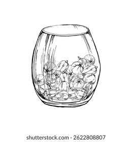 Gooseberry Currant berries served in glass hand drawn in vector ink, ripe picked harvest, lingonberry huckleberry juneberry. Isolated illustration. Dessert menu, home preserves cookbook, grocery store