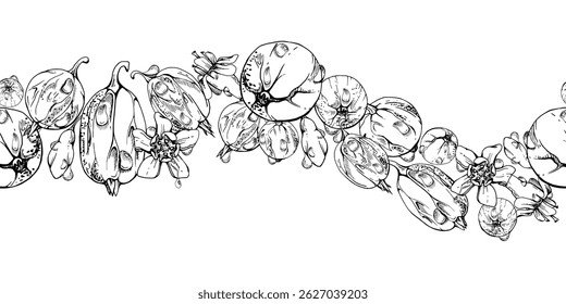 Gooseberry Currant garden berries, flowers in water dew drops hand drawn in vector ink. Seamless isolated wave banner garland. Home preserves, stationery, food store decor, cafe menu, recipe book