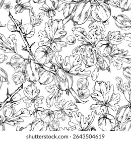 Gooseberry Currant with leaves flowers garden berry hanging on spiked thorny branches. Isolated seamless pattern tile hand drawn in vector ink. Craft drinks, grocery, background wallpaper, packaging