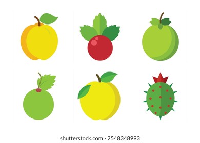 Gooseberry, Currant, Olive, Quince, Prickly Pear fruits vector art