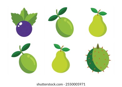 Gooseberry, Currant, Olive, Quince, Prickly Pear fruits vector art