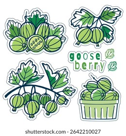 Gooseberry emblem set. Hand drawn green gooseberry branches. Vector icons in doodle style