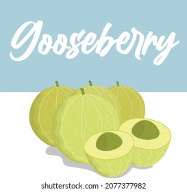 gooseberry fruit vector illustration with section , beautiful square background design