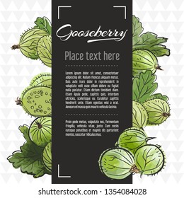gooseberry fruit vector menu design templates. Vector fruit illustration with hand drawn doodles for greeting card, banner	