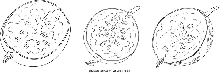 Gooseberry hand drawn vector illustration. Dewberry sketch line berries and leaves drawing on white background