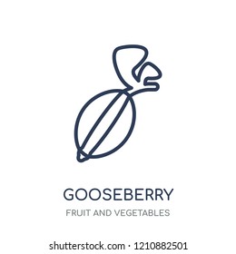 Gooseberry icon. Gooseberry linear symbol design from Fruit and vegetables collection. Simple outline element vector illustration on white background.
