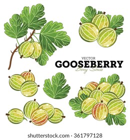 Gooseberry Isolated on White Background