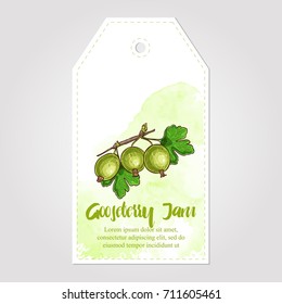 Gooseberry jam collection. Paper label. Design for package, wrapping paper textile or wallpaper. Vector illustration