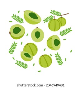 Gooseberry también conoce los elementos Amla fondo de diseño vector abstracto para el diseño de envases