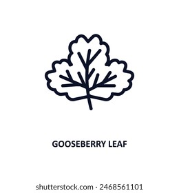 gooseberry leaf icon. Thin line gooseberry leaf icon from nature collection. Outline vector isolated on white background. Editable gooseberry leaf symbol can be used web and mobile