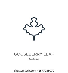 Gooseberry leaf icon. Thin linear gooseberry leaf outline icon isolated on white background from nature collection. Line vector sign, symbol for web and mobile