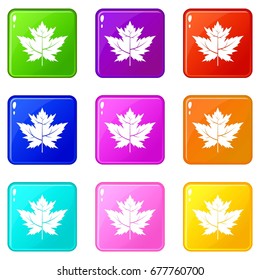 Gooseberry leaf icons of 9 color set isolated vector illustration