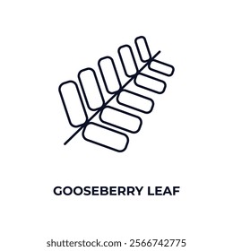 gooseberry leaf outline icon. Linear vector from nature concept. Thin line gooseberry leaf icon isolated on white background