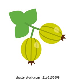 Gooseberry on branch Healthy Food. Vector illustration