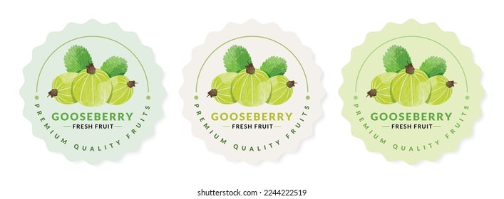 Gooseberry packaging design templates, watercolour style vector illustration.