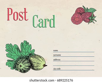 gooseberry and raspberry berries garden postcard envelope template design and illustration