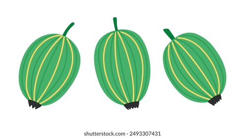 Gooseberry set. Fresh summer juicy berry. Flat Vector illustration isolated on white background