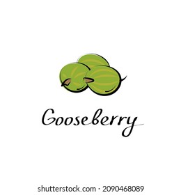Gooseberry vector cartoon flat illustration. Indian gooseberry or amla amala sign. Fresh berry fruit and vegetable logo