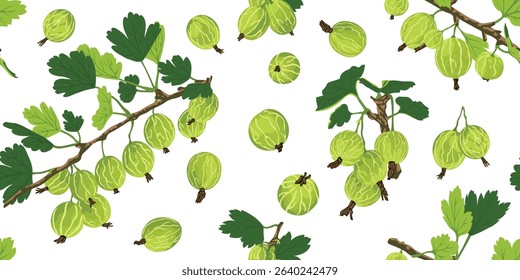 Gooseberry vector seamless pattern. Green gooseberries graphic background. Gooseberries vector design for fabric, paper, wallpaper, cover, decoration, wrapping, other use. Fruit vector illustration