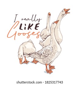 Gooses group. Humor card, T-shirt composition, hand drawn style print. Vector illustration.