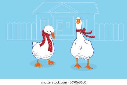 Gooses with Scarfs Illustration