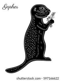 Gopher with crowberry hand drawn illustration, vector doodle sketch isolated on white, wild animal cartoon art, Character print design for greeting card, children invite, creation of zoo alphabet