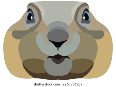 Gopher face. An illustration of a muzzle of a rodent is depicted. Bright portrait on a white background. Vector graphics. animal logo