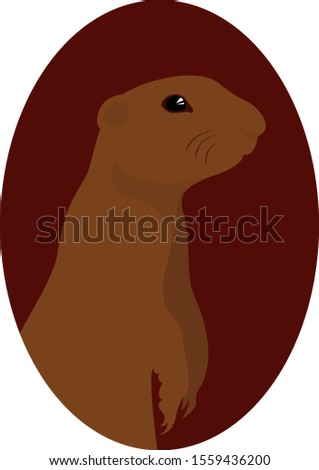 Gopher, illustration, vector on white background.
