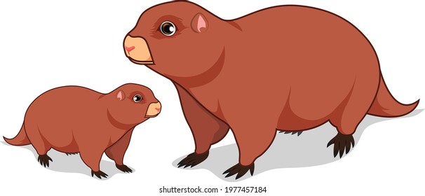 Gopher Mammals cartoon vector art and illustration