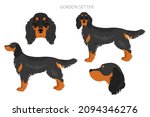 Gordon setter clipart. Different poses, coat colors set.  Vector illustration