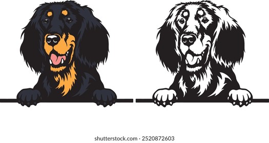 Gordon Setter color peeking dogs vector, white background, vector illustration